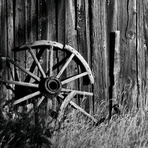 Meet your Posher, Jodee